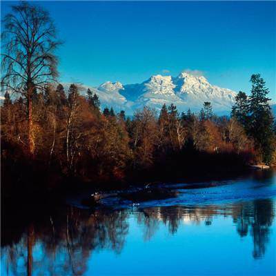 四大证券报头版头条内容精华摘要_2026年3月26日_财经新闻